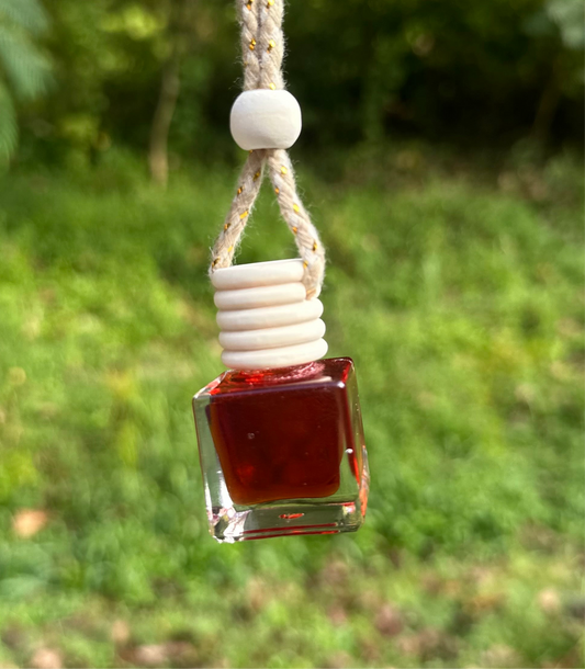 Cinnamon Roll Car Diffuser