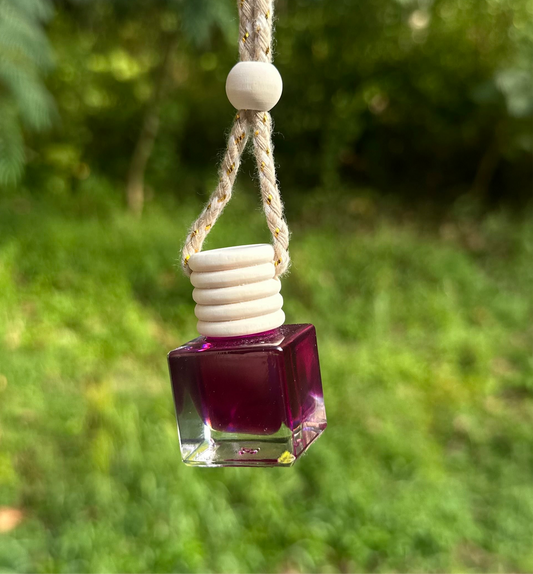 Witches Brew Caramel Apple Car Diffuser