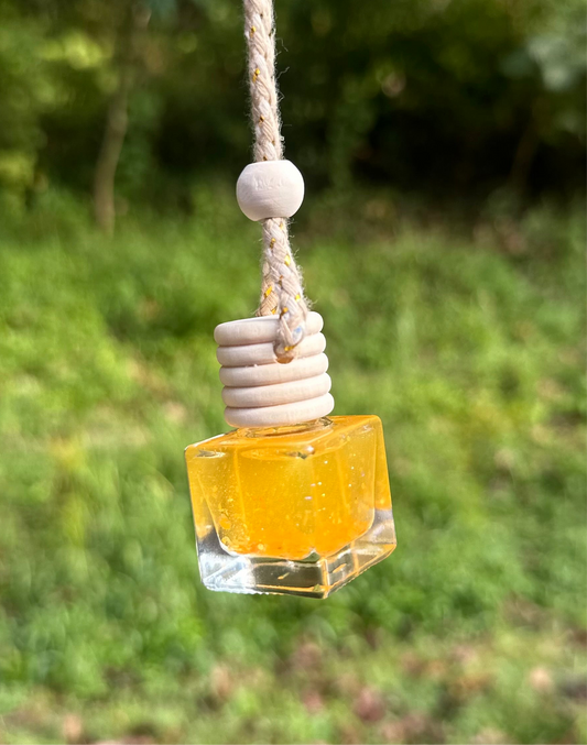 Pumpkin Pecan Waffle Car Diffuser