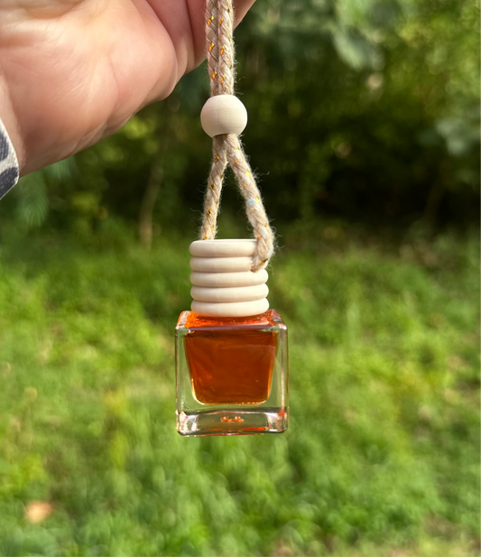 Pumpkin Apple Car Diffuser
