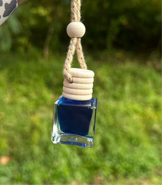 Blueberry Pumpkin Patch Car Diffuser